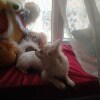 https://cdn-ostrovok-ru-ion.test.edgekey.net/t/100x100/hotel_review/e8/42/e8424981c42742d8e42c22ca09d19f7733f0638e.jpeg
