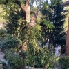 https://cdn-ostrovok-ru-ion.test.edgekey.net/t/100x100/hotel_review/e8/57/e8574e9f338dc2700a2bf844f8367d688f89a99d.JPEG