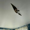 https://cdn-ostrovok-ru-ion.test.edgekey.net/t/100x100/hotel_review/e8/59/e85901488a91af4ad45fe5771b0430b7fc8a40f0.JPEG