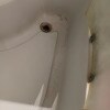 https://cdn-ostrovok-ru-ion.test.edgekey.net/t/100x100/hotel_review/e8/69/e8691bb9fb29b4275e1b15f07bd7ead5543015ea.JPEG