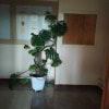 https://cdn-ostrovok-ru-ion.test.edgekey.net/t/100x100/hotel_review/e9/24/e924476de8899a695c8c2ded257c31824dd71110.JPEG