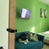 https://cdn-ostrovok-ru-ion.test.edgekey.net/t/100x100/hotel_review/e9/6e/e96e42d7551ff357bb7a5dfc38c01ea79a512b49.JPEG
