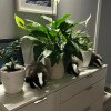 https://cdn-ostrovok-ru-ion.test.edgekey.net/t/100x100/hotel_review/e9/a1/e9a18be9c8faf005f36afe8f275b817c23f85ab6.JPEG