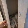https://cdn-ostrovok-ru-ion.test.edgekey.net/t/100x100/hotel_review/e9/db/e9dbfcf91be004bc3fe3a6f6683c05ab3eed27b8.JPEG