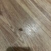 https://cdn-ostrovok-ru-ion.test.edgekey.net/t/100x100/hotel_review/ea/2b/ea2bcc7ec0909f76a4c8a4f93f848dc77f1fae3a.JPEG
