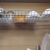 https://cdn-ostrovok-ru-ion.test.edgekey.net/t/100x100/hotel_review/ea/44/ea44b4deba897cd1aadcf10c2fc8da2f6b97723c.JPEG