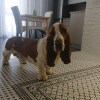 https://cdn-ostrovok-ru-ion.test.edgekey.net/t/100x100/hotel_review/ea/85/ea857c2400e7fe3d5379f019a0e0795c95387101.jpeg