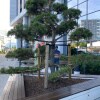https://cdn-ostrovok-ru-ion.test.edgekey.net/t/100x100/hotel_review/ea/a0/eaa010896aeb83f2322eefc3f21fba2d4a183334.JPEG