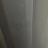 https://cdn-ostrovok-ru-ion.test.edgekey.net/t/100x100/hotel_review/ea/aa/eaaa12695cf65a97b68f3fead70acaf9b9f95cb3.JPEG