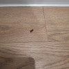 https://cdn-ostrovok-ru-ion.test.edgekey.net/t/100x100/hotel_review/ea/b9/eab90747e2aa6a5cc3e7c7c54d6d949d576fde38.JPEG