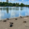 https://cdn-ostrovok-ru-ion.test.edgekey.net/t/100x100/hotel_review/ea/d0/ead03744a7f4c46eda2d0fd6404f288ce80d33ea.JPEG