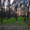 https://cdn-ostrovok-ru-ion.test.edgekey.net/t/100x100/hotel_review/ea/f1/eaf108c6fd6ff2a61a0fae877c97d66c2b91d651.JPEG