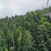 https://cdn-ostrovok-ru-ion.test.edgekey.net/t/100x100/hotel_review/eb/23/eb238936835b3638ecd9aae830616112d27d8163.jpeg
