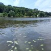 https://cdn-ostrovok-ru-ion.test.edgekey.net/t/100x100/hotel_review/eb/53/eb534970b7325780aac664e3d2bf4a5a9828019d.JPEG