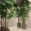 https://cdn-ostrovok-ru-ion.test.edgekey.net/t/100x100/hotel_review/eb/56/eb56420bd2b62b1faf4de666d489ccae40d6c91d.JPEG