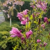 https://cdn-ostrovok-ru-ion.test.edgekey.net/t/100x100/hotel_review/eb/5a/eb5aa79e75a52ea3f7731bfde325a0894419bae6.JPEG