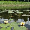 https://cdn-ostrovok-ru-ion.test.edgekey.net/t/100x100/hotel_review/eb/99/eb99d08d7f77855b3e232f47b3efb773ac8b97e5.JPEG
