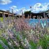 https://cdn-ostrovok-ru-ion.test.edgekey.net/t/100x100/hotel_review/eb/f0/ebf074a4216f785c29ce588d4613b39fd8f23378.JPEG
