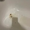 https://cdn-ostrovok-ru-ion.test.edgekey.net/t/100x100/hotel_review/ec/73/ec736dd9f36c37e7dd29539f2e551586a8ed8067.JPEG