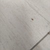 https://cdn-ostrovok-ru-ion.test.edgekey.net/t/100x100/hotel_review/ec/ac/ecac17738283c2c2d45745288279974626cb3c4e.JPEG
