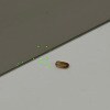 https://cdn-ostrovok-ru-ion.test.edgekey.net/t/100x100/hotel_review/ec/ea/ecea0114d351bc2b3d03d3f84a1ab361ecc8c62e.JPEG