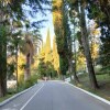 https://cdn-ostrovok-ru-ion.test.edgekey.net/t/100x100/hotel_review/ec/ee/eceeb2b98aac38d4a6b0ceafb24ba47990f8f20d.JPEG