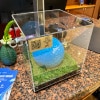 https://cdn-ostrovok-ru-ion.test.edgekey.net/t/100x100/hotel_review/ed/0a/ed0a6a99234d07df963ca0792f799d994c696aaa.JPEG