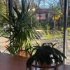 https://cdn-ostrovok-ru-ion.test.edgekey.net/t/100x100/hotel_review/ed/32/ed32121ffa4807858fcae24b476113afc5885dd4.JPEG