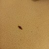 https://cdn-ostrovok-ru-ion.test.edgekey.net/t/100x100/hotel_review/ed/4d/ed4df6400a6a30760878f93c1336a5c792aba6c9.jpeg