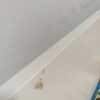 https://cdn-ostrovok-ru-ion.test.edgekey.net/t/100x100/hotel_review/ed/50/ed50961563779711d63654b7a089606c6778ad77.JPEG