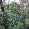 https://cdn-ostrovok-ru-ion.test.edgekey.net/t/100x100/hotel_review/ed/53/ed53fef73ee4af81776524a3ba276dce27fcf25b.JPEG