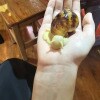 https://cdn-ostrovok-ru-ion.test.edgekey.net/t/100x100/hotel_review/ee/28/ee28624a588970484912bd3337e31043cdeeeb6e.JPEG