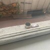 https://cdn-ostrovok-ru-ion.test.edgekey.net/t/100x100/hotel_review/ee/2b/ee2babe77e5c92430c2eb6ae4d58791154129ee2.jpeg