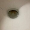 https://cdn-ostrovok-ru-ion.test.edgekey.net/t/100x100/hotel_review/ee/4b/ee4b478843657ee5f073e8b93cfa7a90697e027d.JPEG