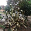 https://cdn-ostrovok-ru-ion.test.edgekey.net/t/100x100/hotel_review/ee/4c/ee4c3607da1b06222ae5e5ea81291e30111b1763.jpeg