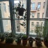 https://cdn-ostrovok-ru-ion.test.edgekey.net/t/100x100/hotel_review/ee/57/ee57406cec781a2677e704f8d9f621ba4d4762b6.JPEG