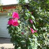 https://cdn-ostrovok-ru-ion.test.edgekey.net/t/100x100/hotel_review/ee/5e/ee5ea86bd7afc800f99f2ff85f93bd06d03a79e7.jpeg