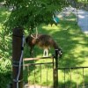 https://cdn-ostrovok-ru-ion.test.edgekey.net/t/100x100/hotel_review/ee/6a/ee6a1a7048c03529c2f37c6f9d5b27fd32130230.JPEG