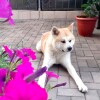 https://cdn-ostrovok-ru-ion.test.edgekey.net/t/100x100/hotel_review/ee/99/ee991df80648b232fecf5987d8172a7b02598c9c.jpeg