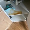 https://cdn-ostrovok-ru-ion.test.edgekey.net/t/100x100/hotel_review/ee/a6/eea62430759f1daee8baa9914b694674ef1b02dd.JPEG