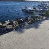 https://cdn-ostrovok-ru-ion.test.edgekey.net/t/100x100/hotel_review/ee/ef/eeef189d048856cb9601bfb9df8a26ca60fb13b3.JPEG
