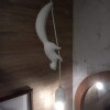 https://cdn-ostrovok-ru-ion.test.edgekey.net/t/100x100/hotel_review/ef/0b/ef0b2d8c2a3363fb4b5b91bb1c5facc130fdb45d.JPEG