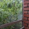 https://cdn-ostrovok-ru-ion.test.edgekey.net/t/100x100/hotel_review/ef/47/ef47a87c2afcdc3c928de7b78b98d49b88c9e5b2.JPEG