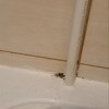 https://cdn-ostrovok-ru-ion.test.edgekey.net/t/100x100/hotel_review/ef/8e/ef8e4cf09383fa66643776ff3a19a2ec0f500e41.jpeg