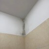 https://cdn-ostrovok-ru-ion.test.edgekey.net/t/100x100/hotel_review/ef/c0/efc0da67505a122886e0cff4f7a64261b2f5573b.JPEG