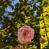 https://cdn-ostrovok-ru-ion.test.edgekey.net/t/100x100/hotel_review/ef/c2/efc2dec5f98c9b82261a9d6688b52b0fb560836a.JPEG