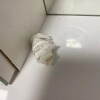 https://cdn-ostrovok-ru-ion.test.edgekey.net/t/100x100/hotel_review/ef/fc/effc482f3f834a3efbe6cdbcb2c05c845e5789e1.jpeg