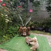 https://cdn-ostrovok-ru-ion.test.edgekey.net/t/100x100/hotel_review/f0/1a/f01a1a8dce0891de6db446746dd7f23400220bb6.JPEG