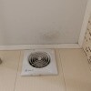 https://cdn-ostrovok-ru-ion.test.edgekey.net/t/100x100/hotel_review/f0/34/f034434b1a360b6acdae472a83ec3dc8aa3962e1.JPEG