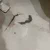 https://cdn-ostrovok-ru-ion.test.edgekey.net/t/100x100/hotel_review/f0/6f/f06f8b1983f692e40daad91e16dbc5b75323c315.JPEG
